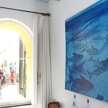 Apartmán Fish House